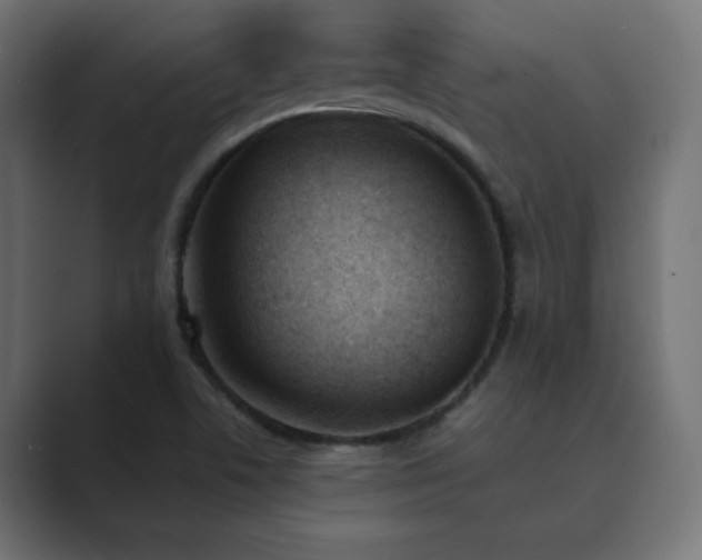 X0000089851506200706281242