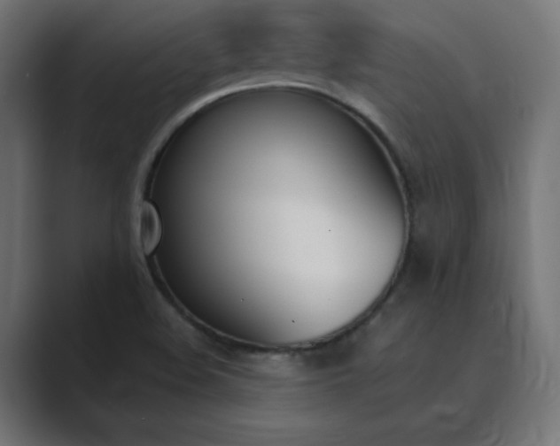 X0000089851508200706281242