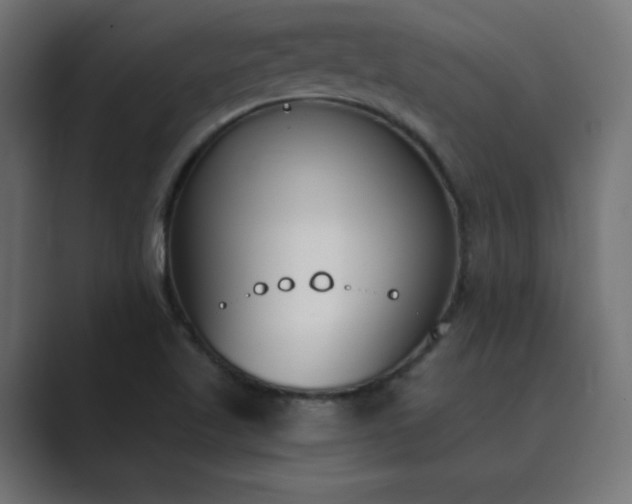X0000089851509200706281242