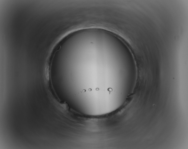 X0000089851510200706281242