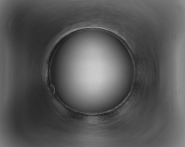 X0000089851511200706281242