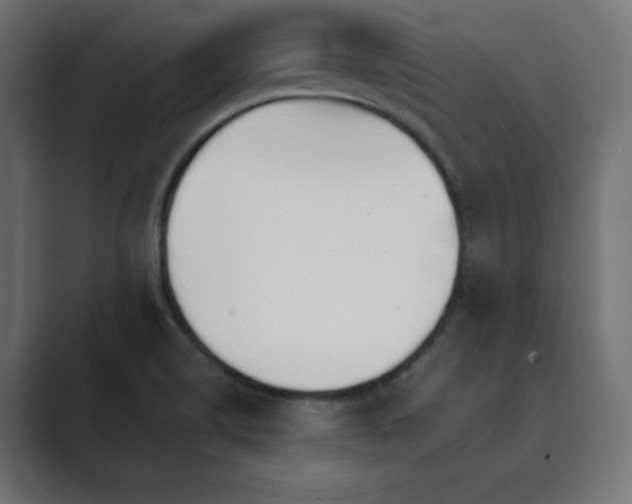 X0000089851514200706281242