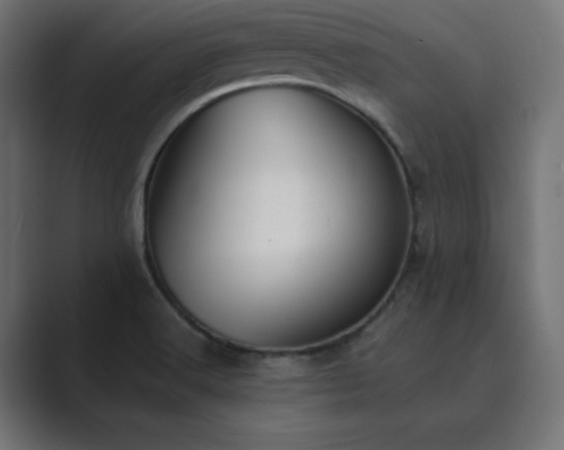 X0000089851516200706281242