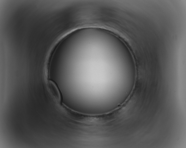 X0000089851517200706281242