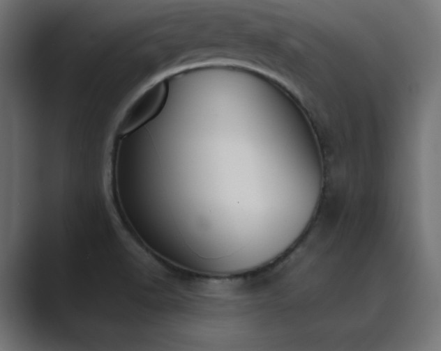 X0000089851518200706281242