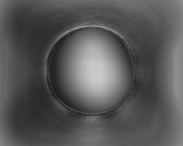 X0000089851519200706281242
