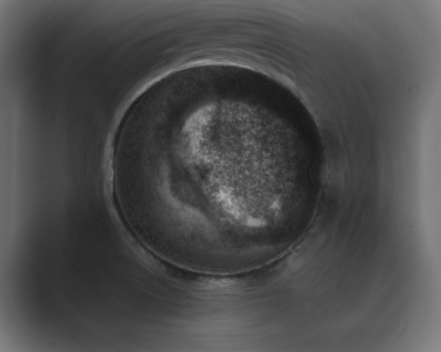 X0000089851522200706281242