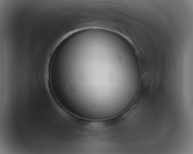 X0000089851523200706281242