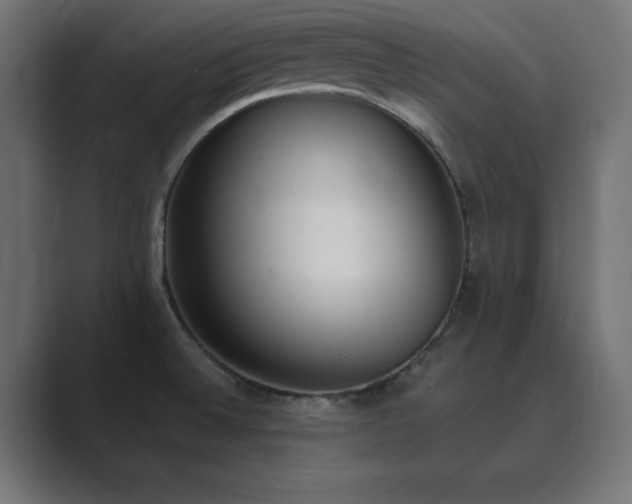 X0000089851524200706281242