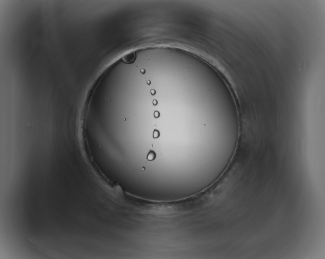 X0000089851525200706281242