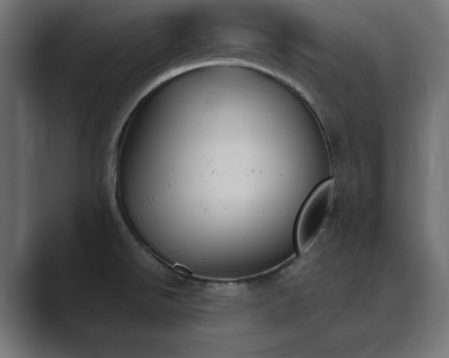 X0000089851526200706281242