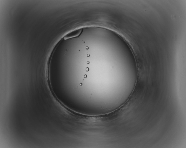 X0000089851527200706281242
