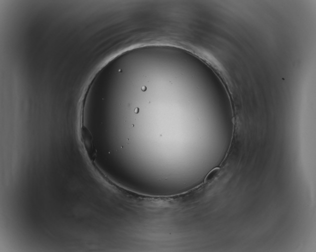 X0000089851528200706281242