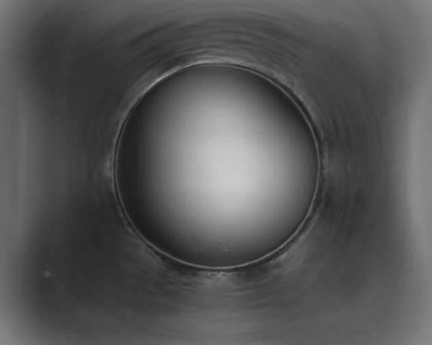 X0000089851529200706281242