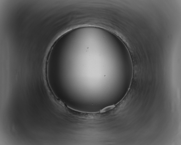 X0000089851530200706281242