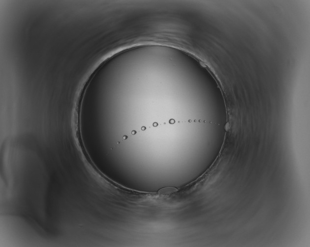 X0000089851531200706281242
