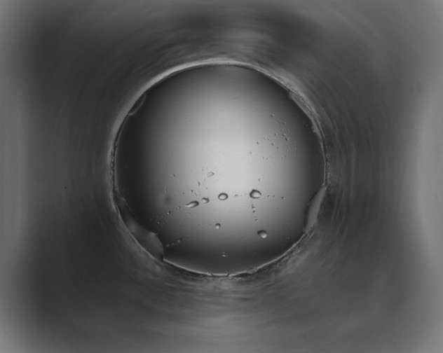 X0000089851532200706281242