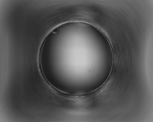 X0000089851533200706281242