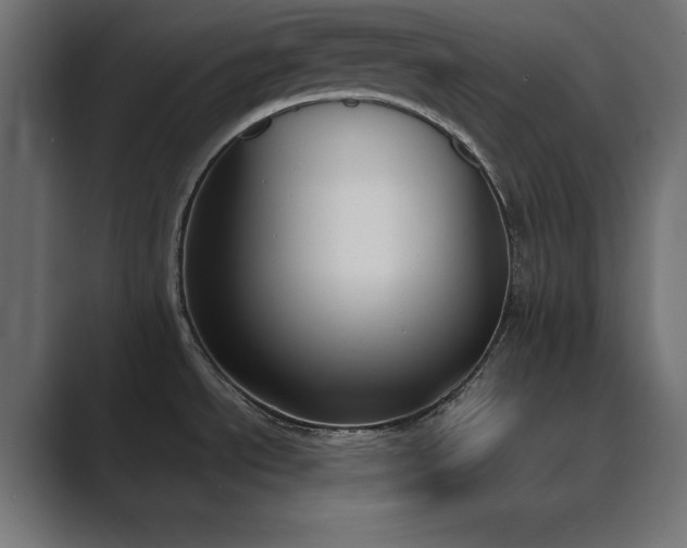 X0000089851534200706281242