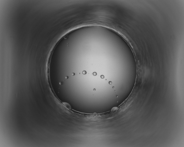 X0000089851535200706281242