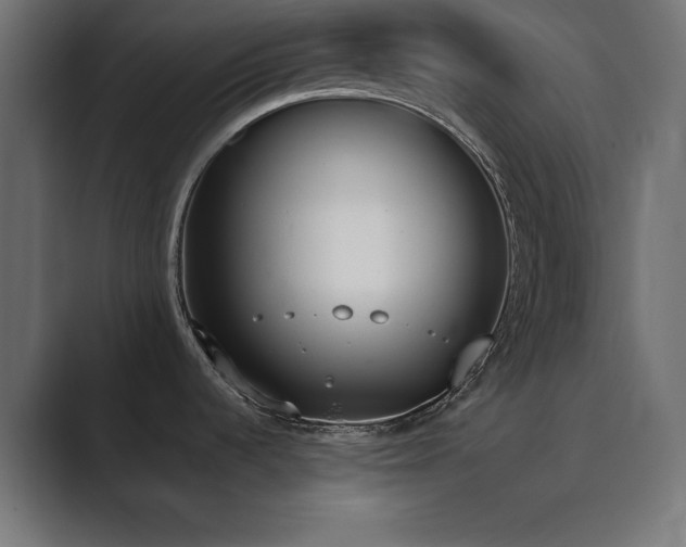 X0000089851536200706281242
