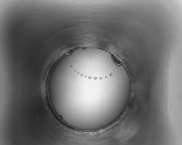 X0000089850002200707051123