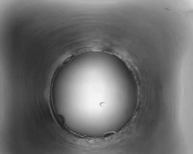 X0000089850003200707051123