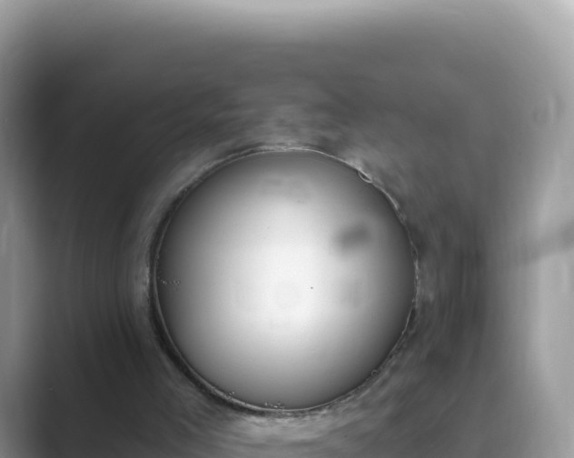 X0000089850005200707051123