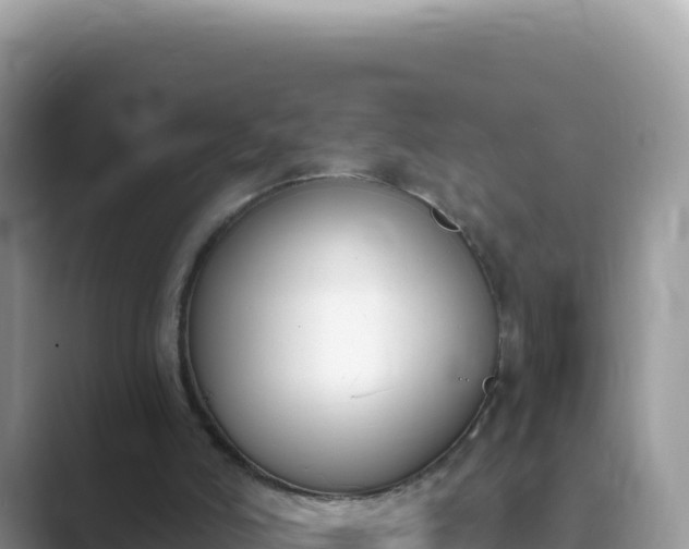 X0000089850006200707051123