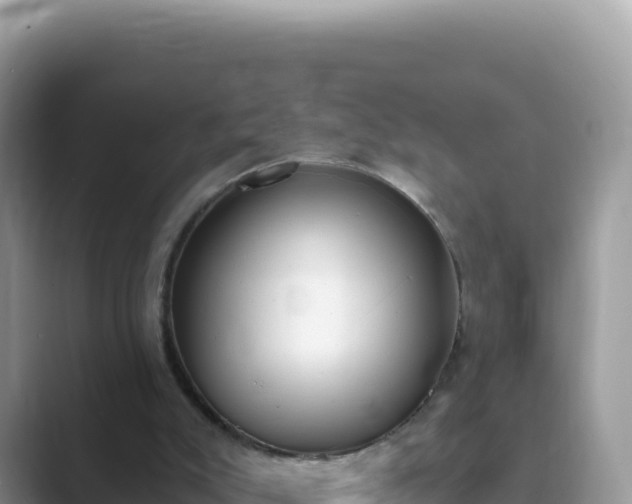 X0000089850007200707051123