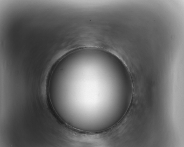 X0000089850008200707051123