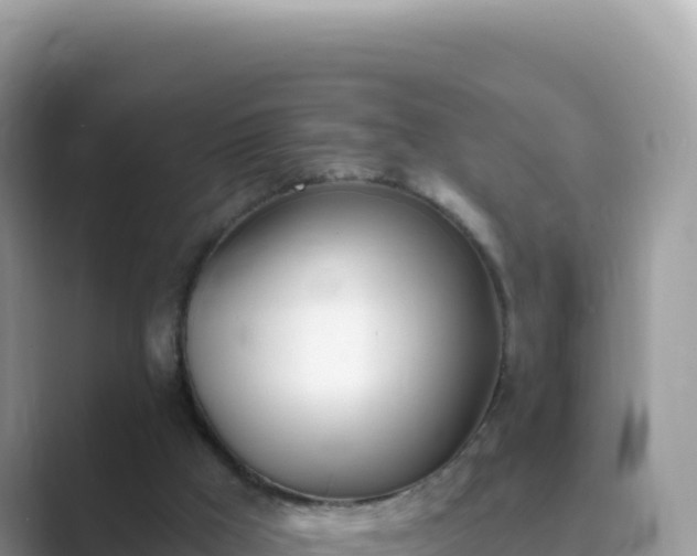 X0000089850009200707051123