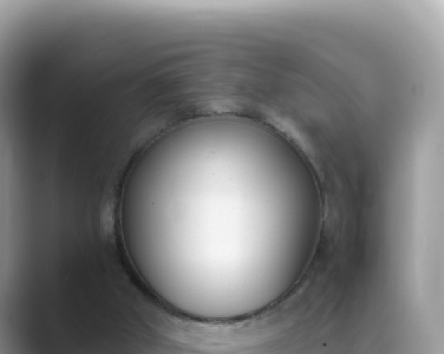 X0000089850010200707051123