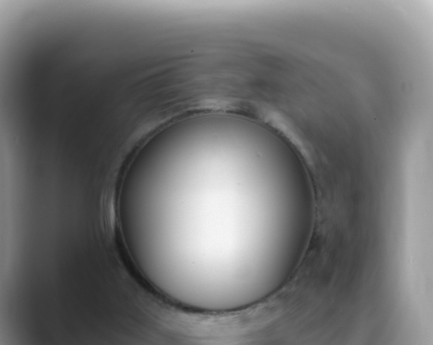X0000089850011200707051123