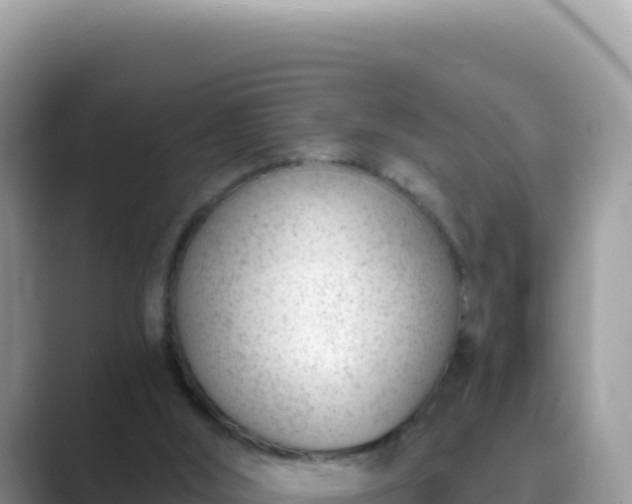 X0000089850012200707051123
