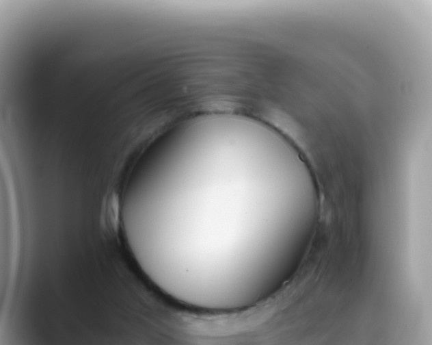 X0000089850013200707051123
