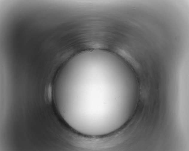 X0000089850014200707051123