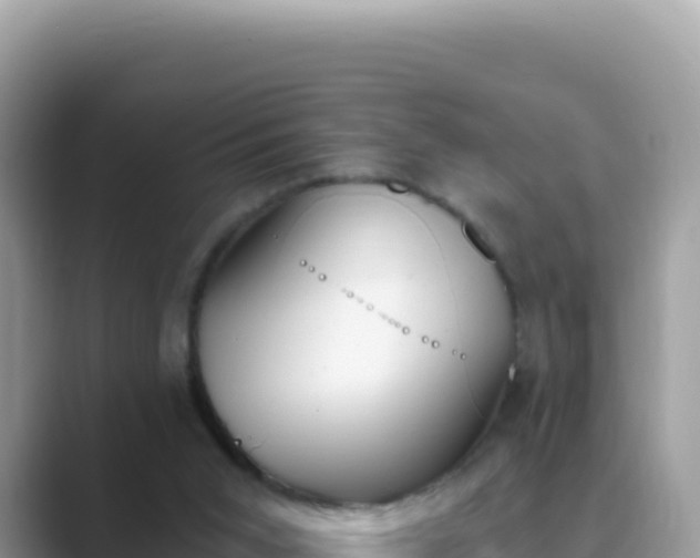 X0000089850015200707051123