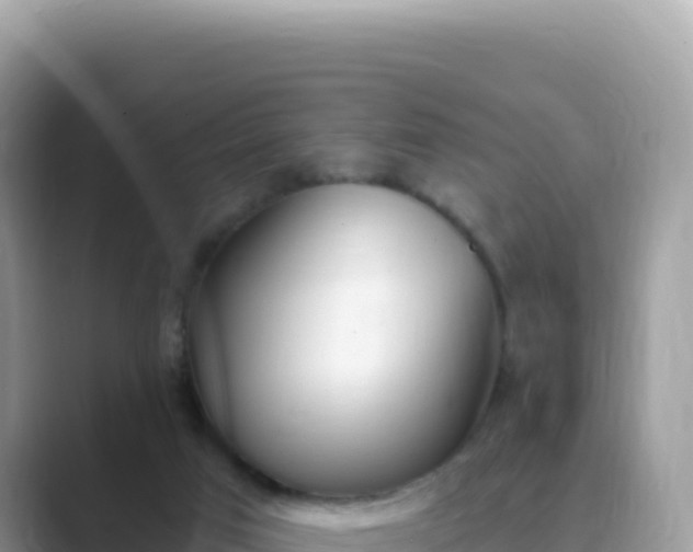 X0000089850017200707051123