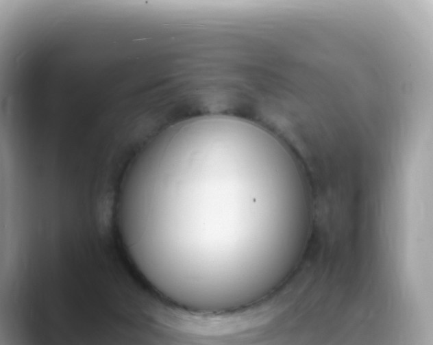 X0000089850018200707051123