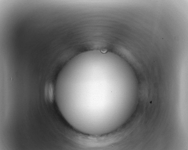 X0000089850022200707051123