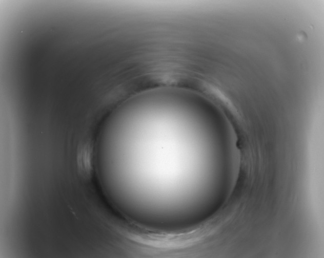 X0000089850023200707051123