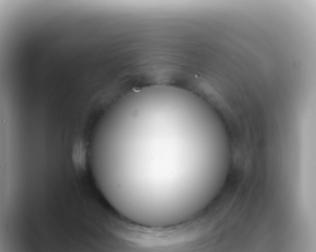X0000089850026200707051123