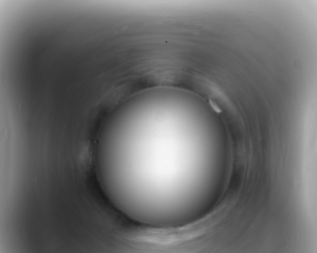 X0000089850029200707051123