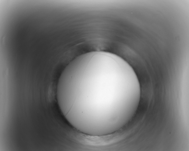 X0000089850030200707051123