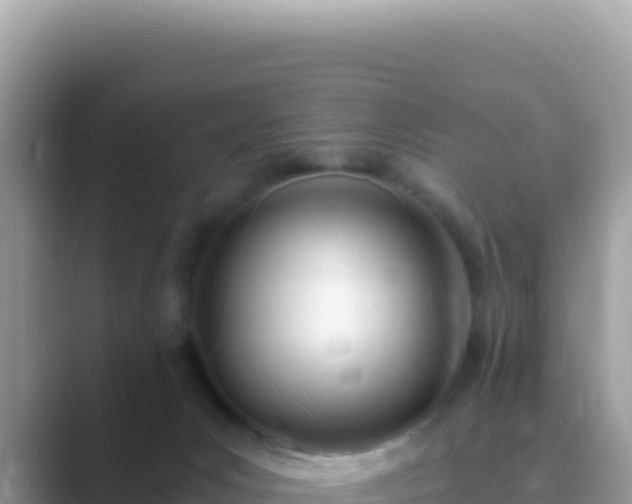 X0000089850031200707051123