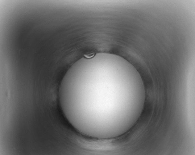X0000089850032200707051123