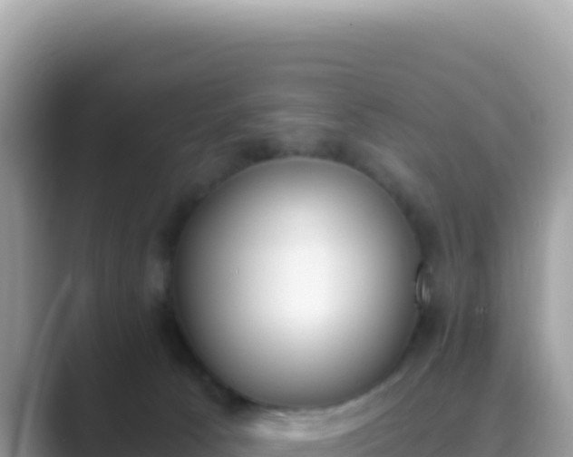 X0000089850033200707051123