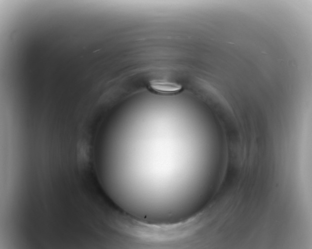 X0000089850035200707051123