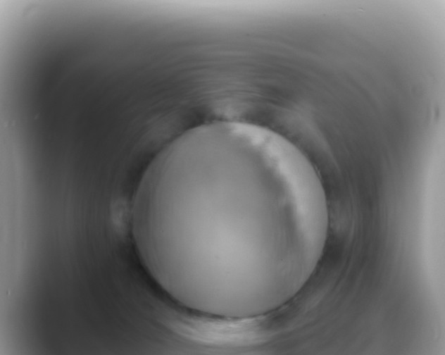 X0000089850036200707051123
